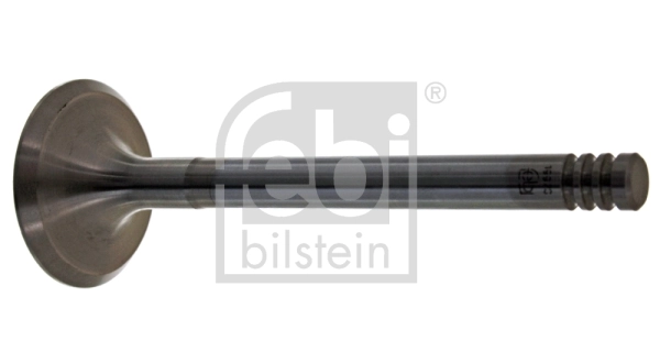 Intake Valve
